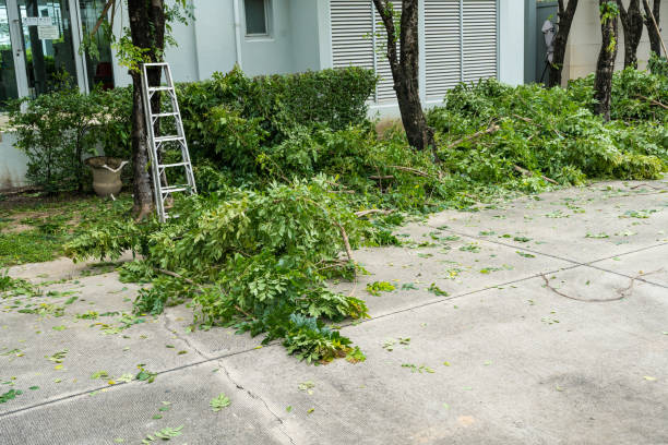 Best Lawn Mowing  in Princeton, FL